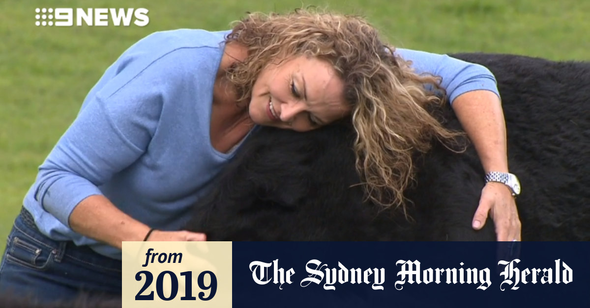 Video House for sale with pet cows and geese